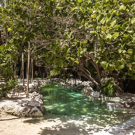 Niken Beachfront Tulum Hotel ภายนอก รูปภาพ
