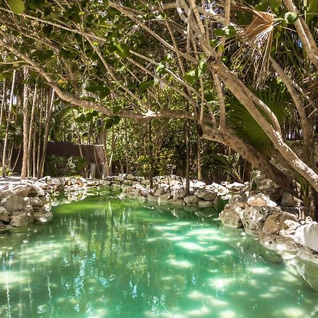 Niken Beachfront Tulum Hotel ภายนอก รูปภาพ