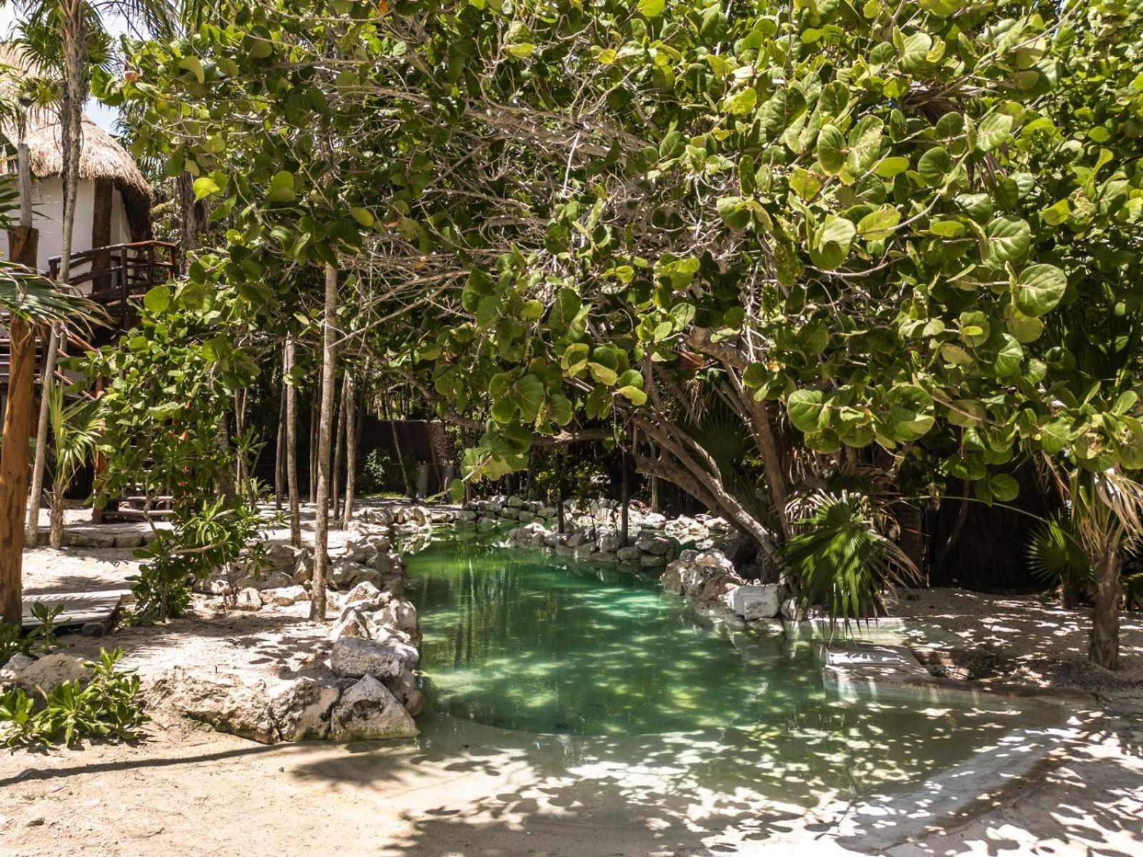 Niken Beachfront Tulum Hotel ภายนอก รูปภาพ
