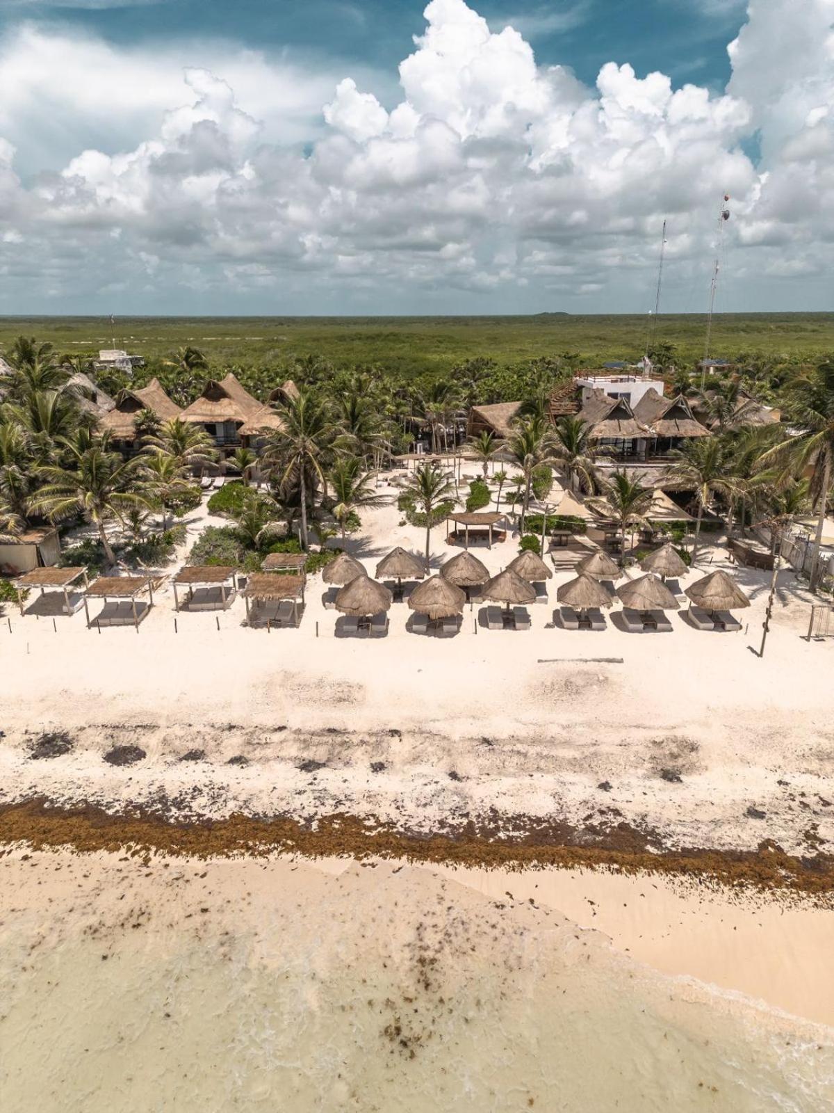 Niken Beachfront Tulum Hotel ภายนอก รูปภาพ